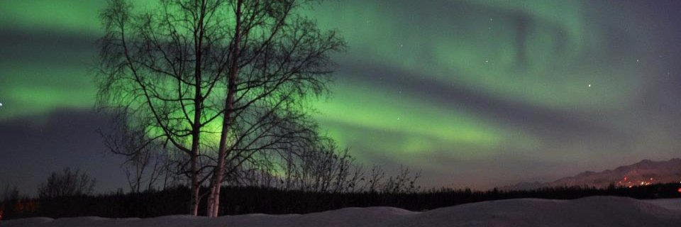 DYENUHMITE's profile banner image