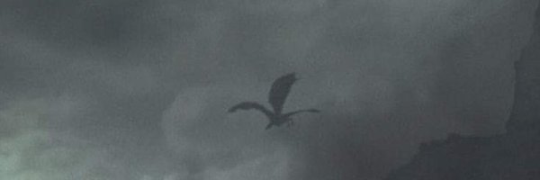 z4ldrizes Profile Banner