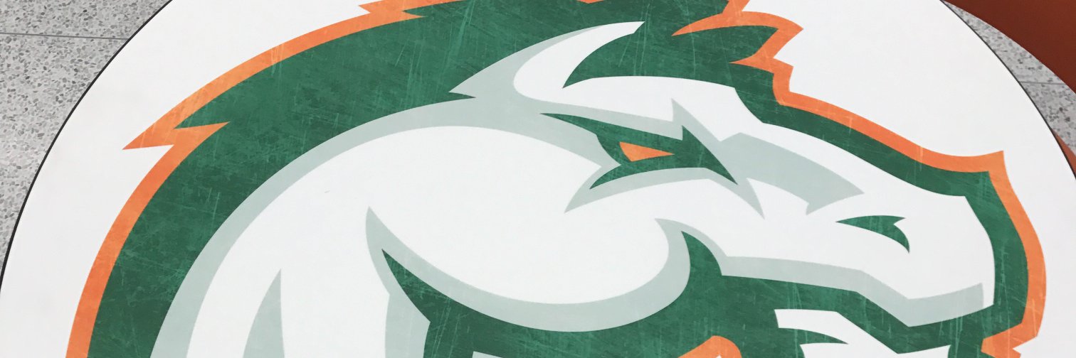 FDHS Track and Field banner