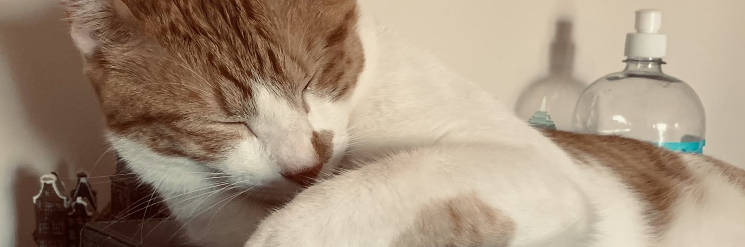 EugeTorris's profile banner image