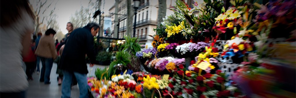 Màrius Montón banner