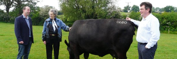 simonthebutcher Profile Banner