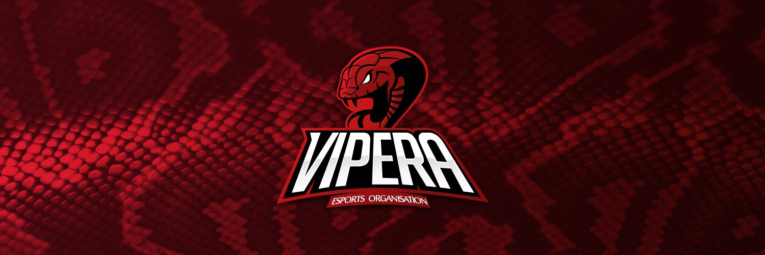 Team Vipera banner