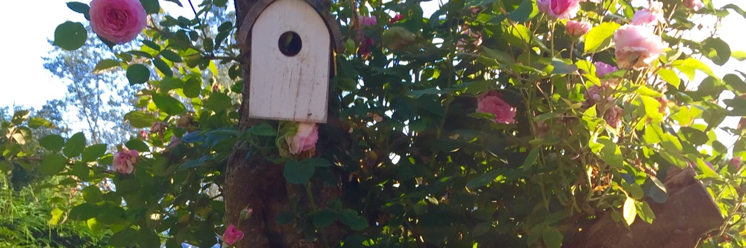 CotswoldAllotmenteer banner