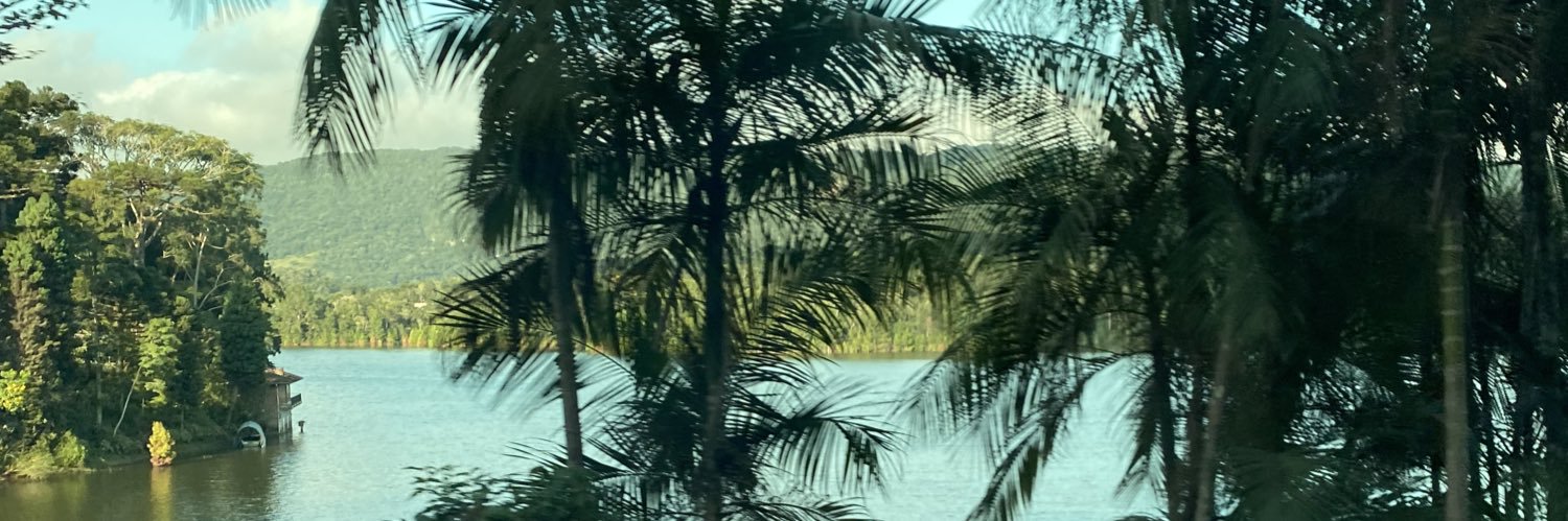 LeoWithoeft_'s profile banner image