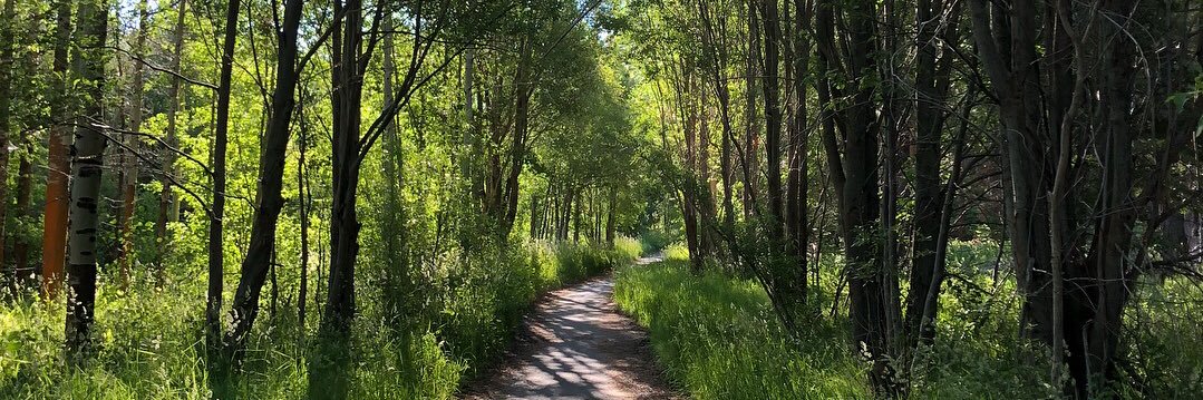 Logan Savidge (she/her) banner