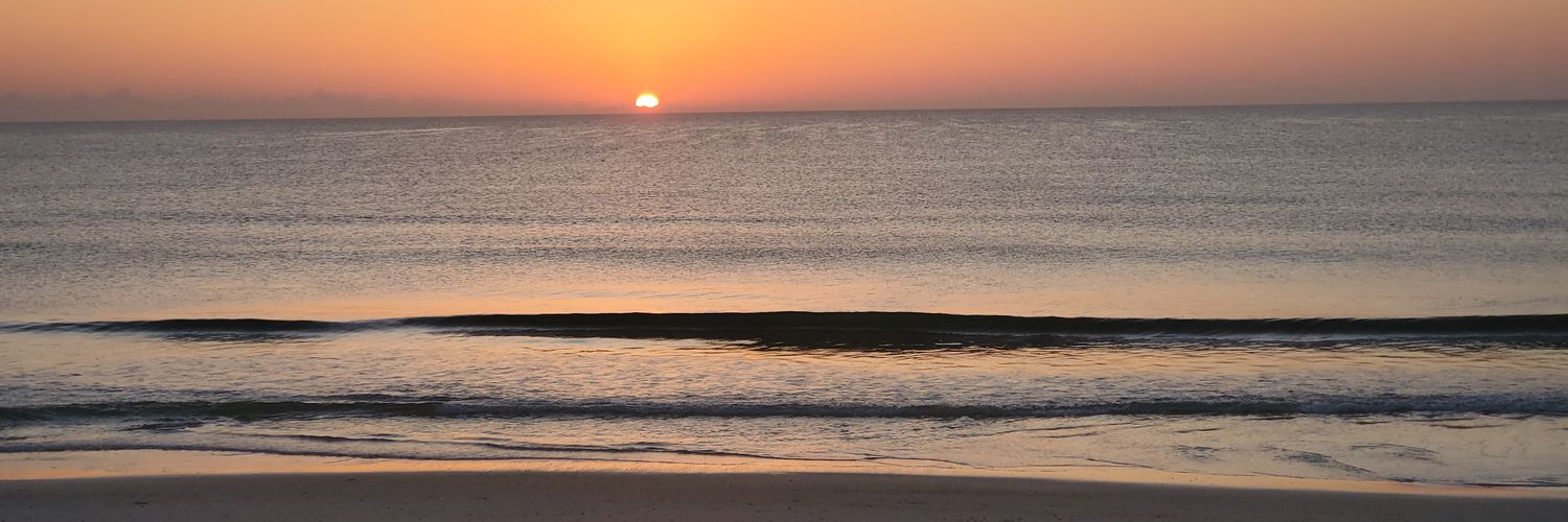 VonZorx's profile banner image