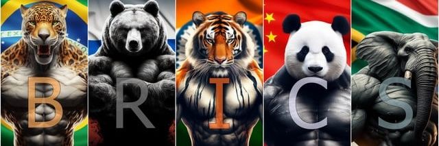 Fernando Lopez 🇧🇷🇨🇳🇷🇺🇨🇴 🇿🇦 🇵🇸🇮🇷🇻🇪 banner