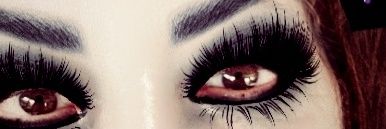 Xena😺 banner