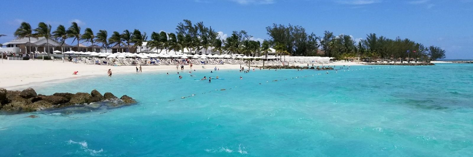 Courtney Lowry banner