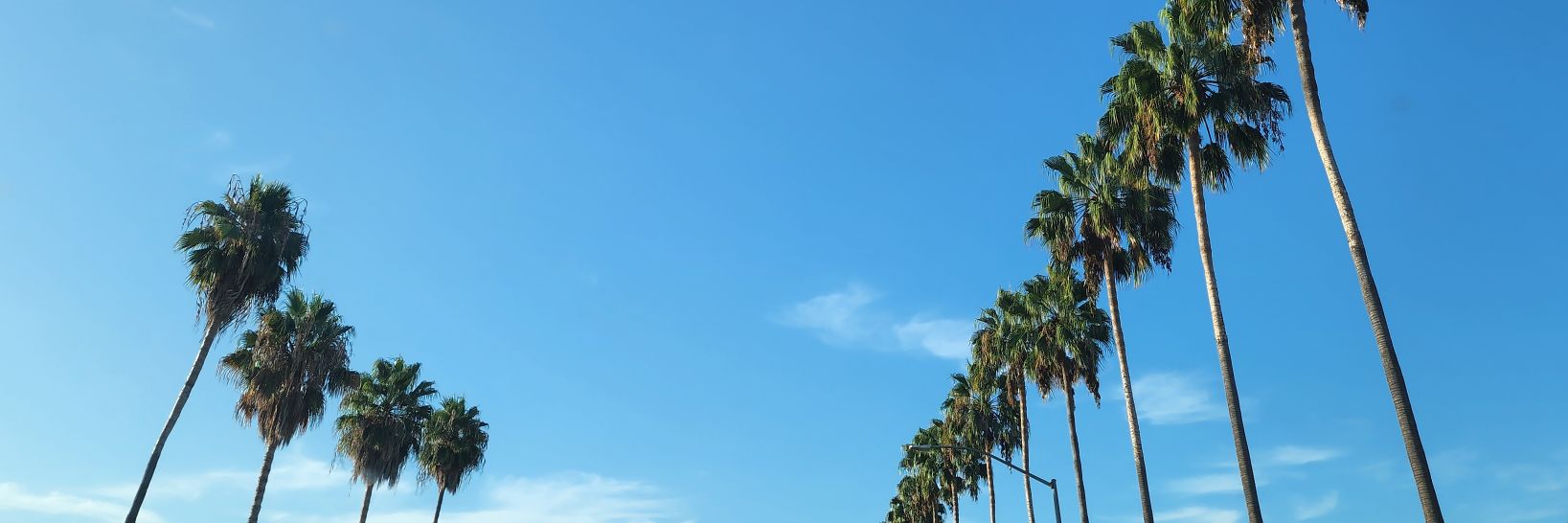 AudreydiFaye's profile banner image