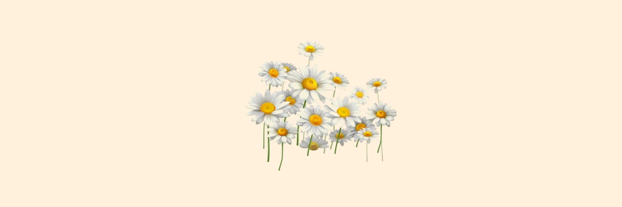 DIsForDaniela_'s profile banner image