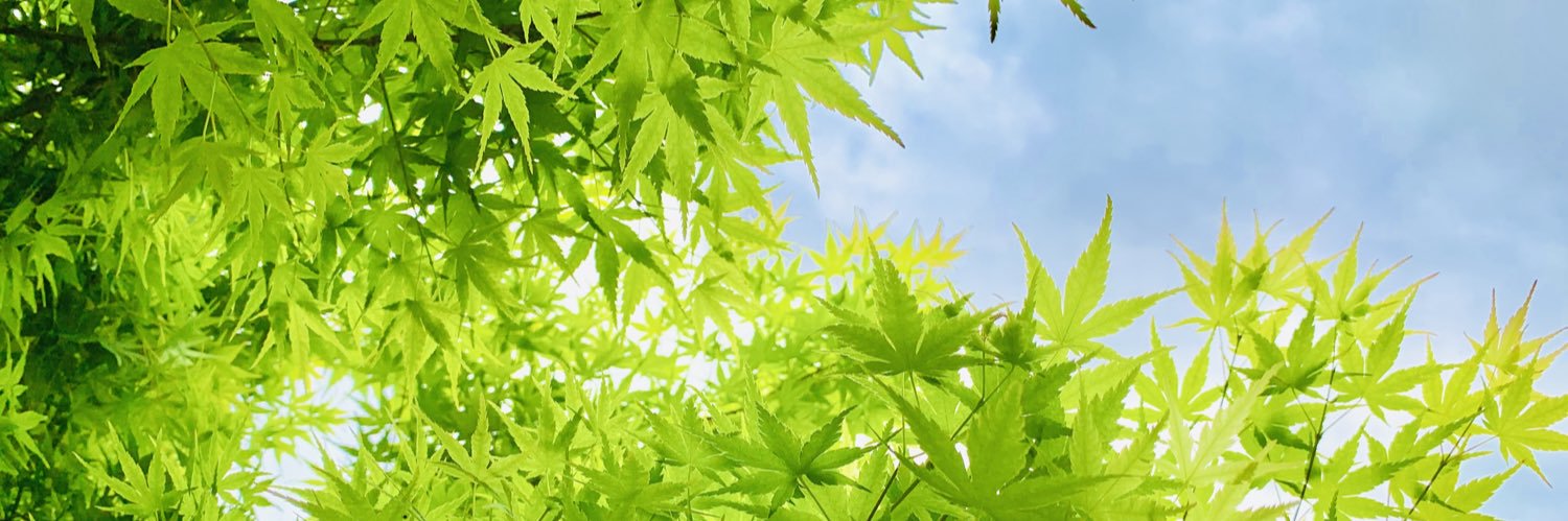 Sota ENDO banner