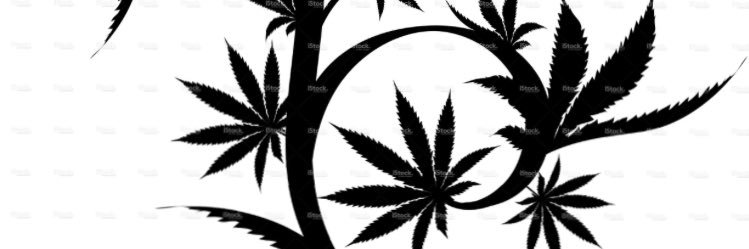 Medicated Models banner