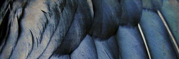 cloooverss's profile banner image
