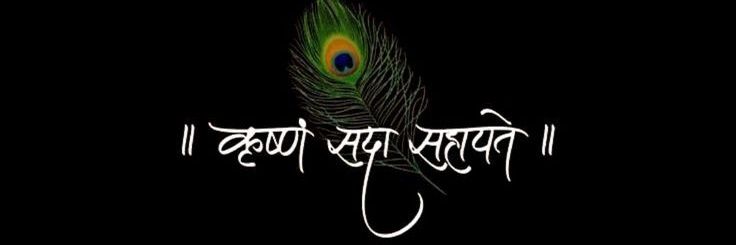 Sanjay DS banner