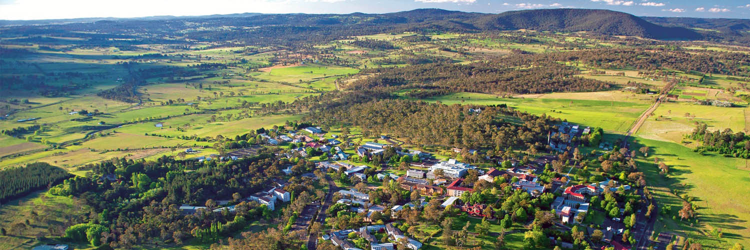 UNE International Capacity Building banner