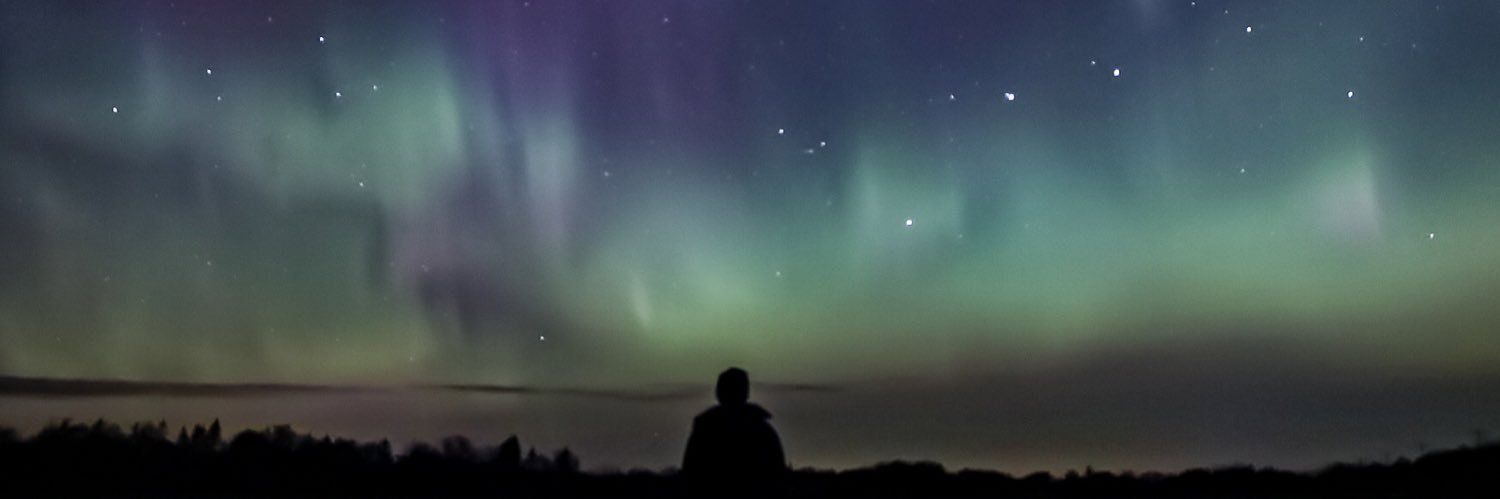 rbeesnees's profile banner image