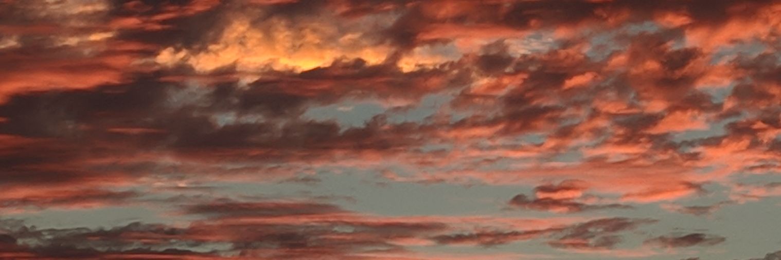 Sherri Nissel-Harris banner
