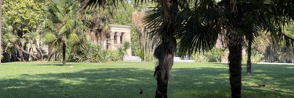 ptoleme20 Profile Banner