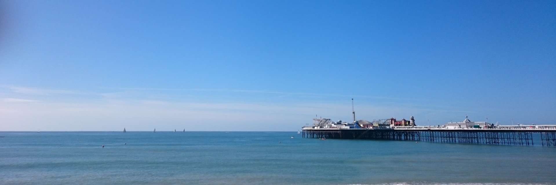 Evelyn Sharples banner