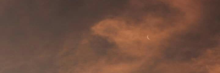 Felipe Ferreira banner