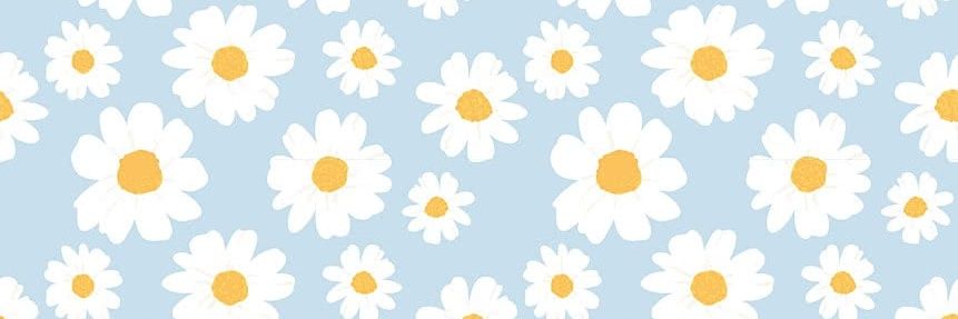 Estreshadaaww's profile banner image