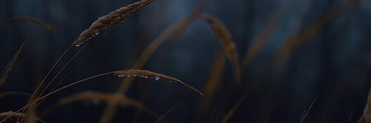 4tee6's profile banner image
