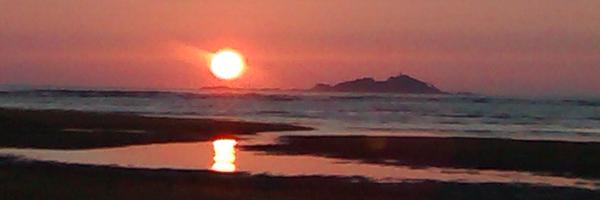 mohang232 Profile Banner