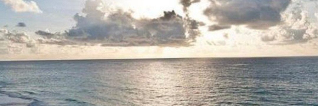 banjodebo_'s profile banner image
