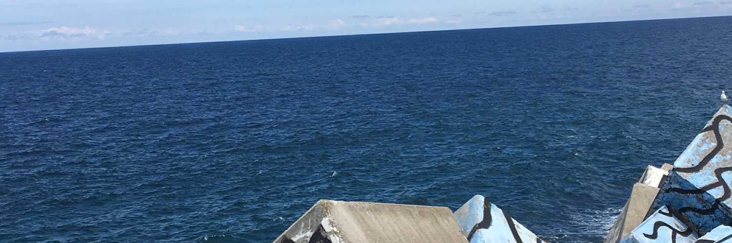mmesx_'s profile banner image