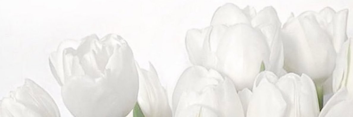 Hanansq7's profile banner image