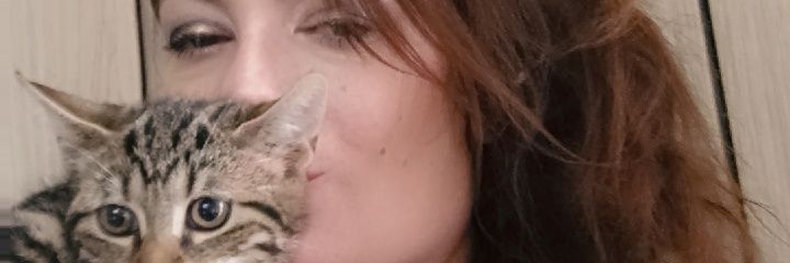 Whathephoquoi banner