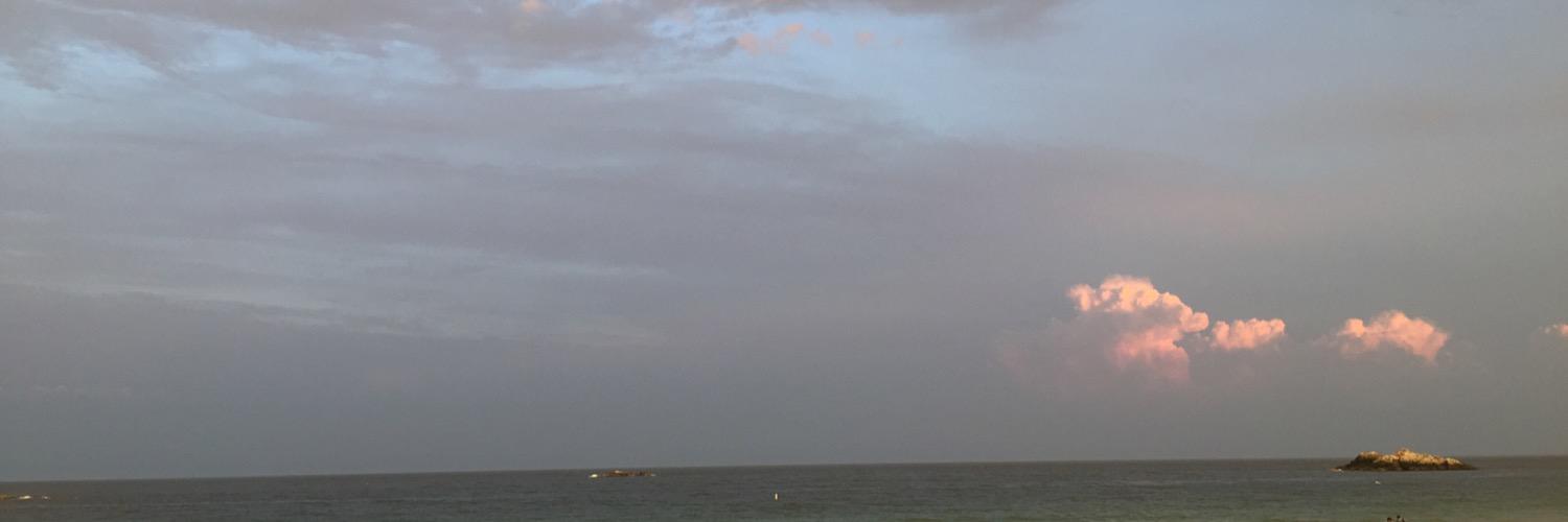 KristaSev's profile banner image