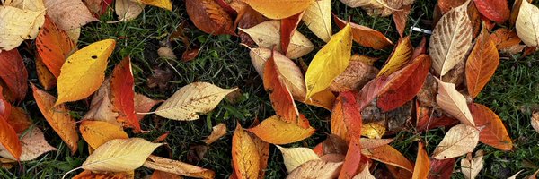 AimeeRobson4 Profile Banner