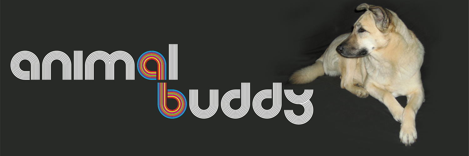 _AnimalBuddy_'s profile banner image