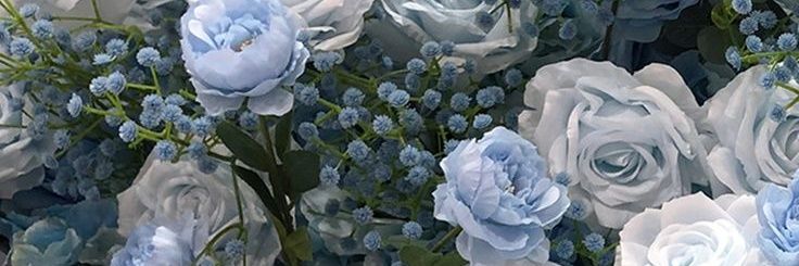 bluetifulcloe's profile banner image