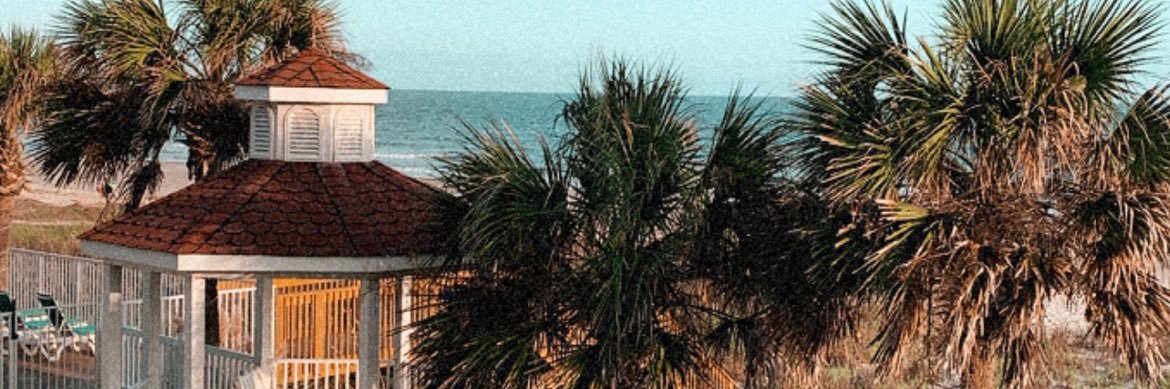 amber_perri's profile banner image