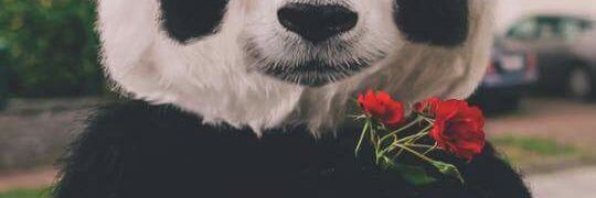 3flower41's profile banner image