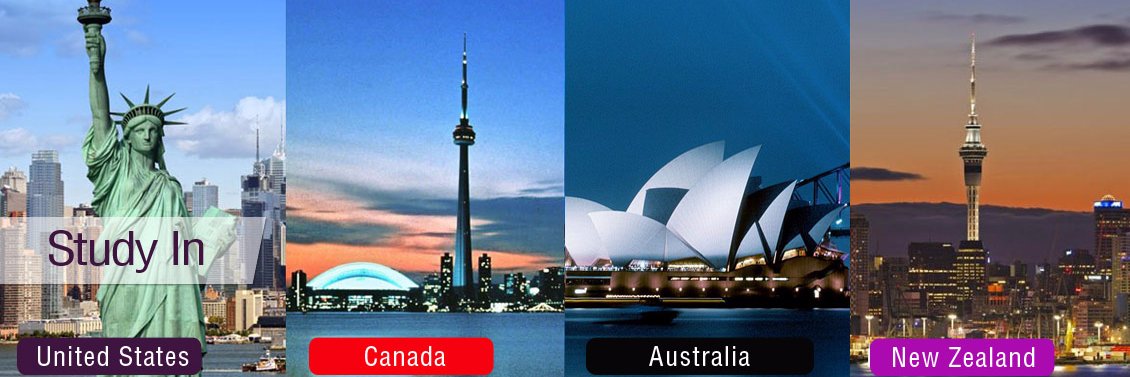 Networth Overseas Consultants banner