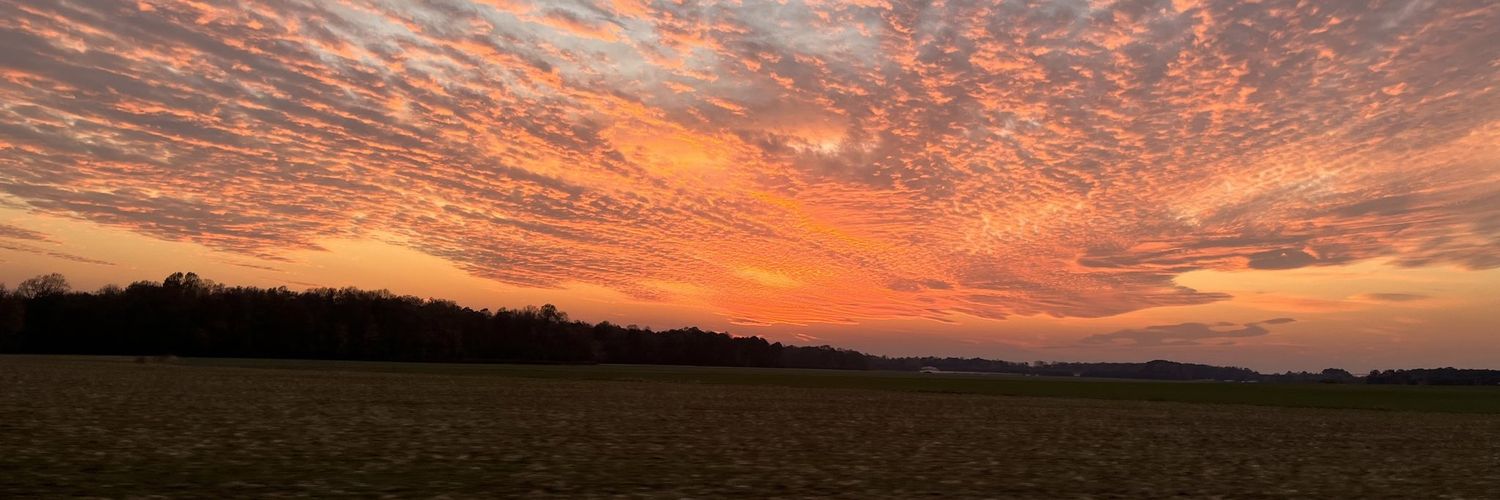 Stark🇸🇴 banner