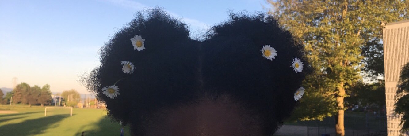 Finding_Leemo's profile banner image