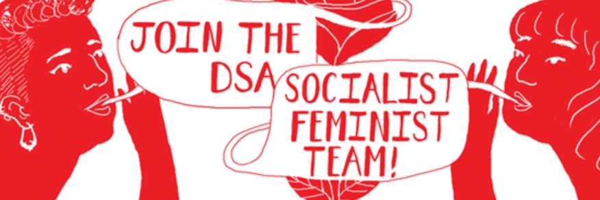 NYC-DSA Socialist Feminist WG #DefundNYPD 🍉 banner
