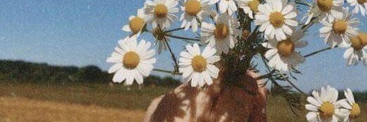 carocuchetti's profile banner image