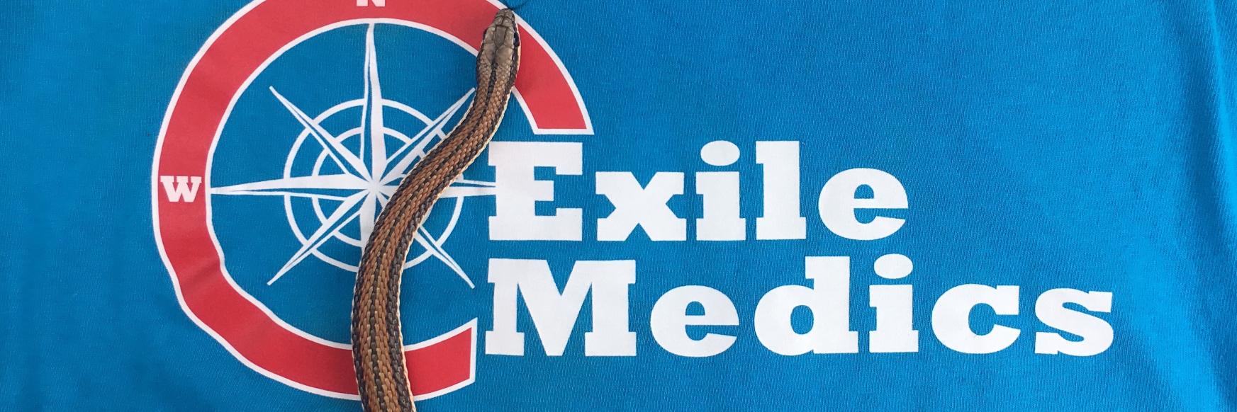 ExileMedics's profile banner image