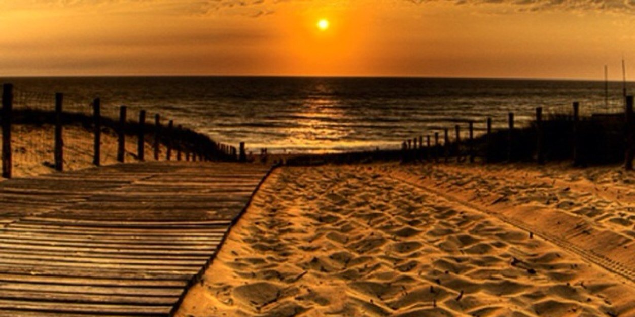 Zee_link's profile banner image
