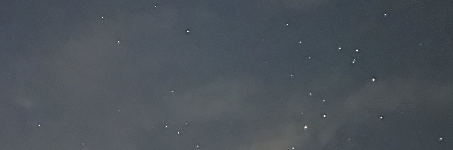 Bee_Bee_38's profile banner image