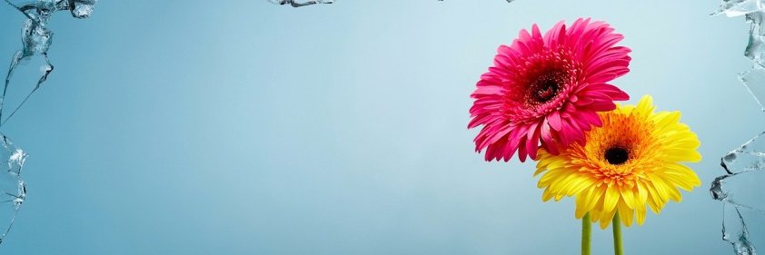 RebekaGdR's profile banner image