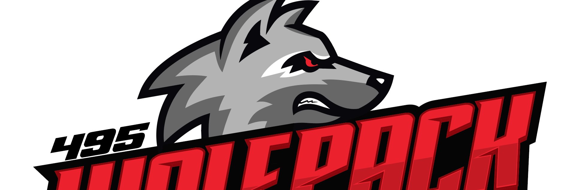 495 Wolfpack Bball banner