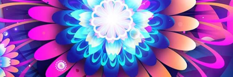 VANIA_GUIMARAES's profile banner image